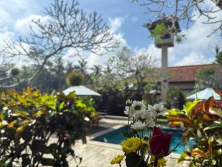 Inang Villa ubud - 2
