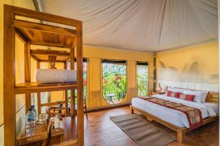 Paddy's Glamping Managed by Manara - 7