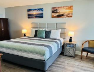 Gorgeous Oceanfront Suite! 1Br Condo, Dog friendly! 706 - 4