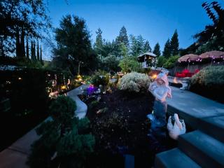 Garden View 3-bedroom house in charming El Dorado Hills with Wifi - 8