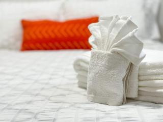 Beautiful Spacious Stylish near Busch Gardens - 6