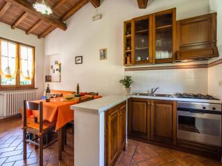 Authentic farmhouse in Castiglion Fiorentino with organic wines - Castiglion Fiorentino - 8