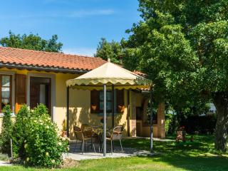 Authentic farmhouse in Castiglion Fiorentino with organic wines - Castiglion Fiorentino - 1
