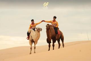Bau Trang U&ME Glamping Resort - - 1