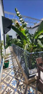 Riad Aloes & Spa - Marrakech - 4