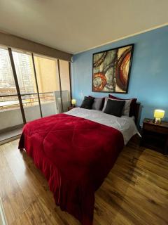hermoso departamento con balcon - Santiago - 8