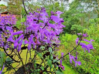 Reserva y Estancia Robles Mimosos Lodge - 3