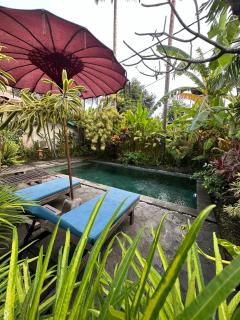 ComeBack GuestHouse - Canggu - 8