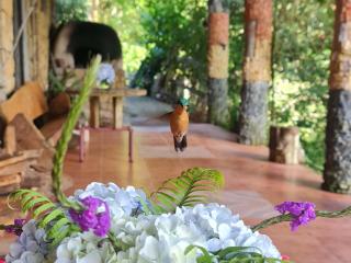 Reserva y Estancia Robles Mimosos Lodge - 7