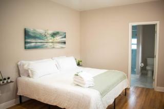 Stylish Ybor Home Near Downtown 3br - Tampa - 7