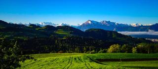 Bergblick - Fahrni - 9