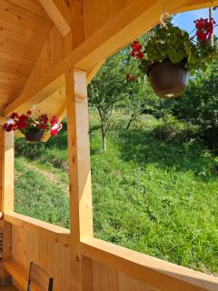 Vila de Sub Pădure - 7