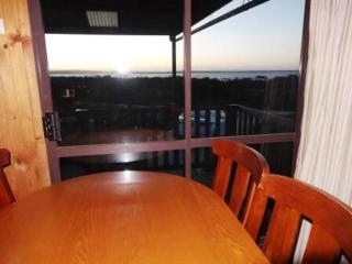 Melaleuca, Venus Bay, South Australia - 1