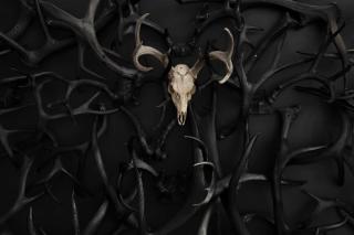 Freya Geo Dome Suite At El Mistico Ranch - 5