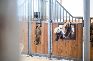 Posthof - Alpine Living Apartments - Campo di Trens - 8