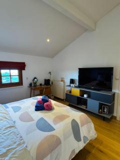 Chambre au calme & salle de bain privée - Divonne-les-Bains - 1