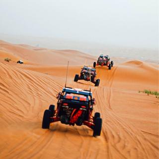 Desert Heart - Bidiyah - 0