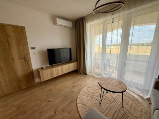 Anna Apartment - Dunajská Streda - 9