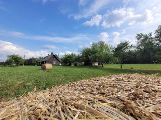 Country peace in a 100 year old house - - 3