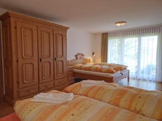 Casa Andrea Parterre 116 - Riederalp - 1