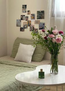 Single room in Seoul - 0