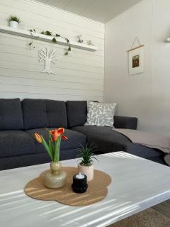 Ahonlaita paritalo kaksio saunalla 60m2 - 2
