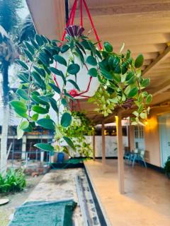 Soleil Beach villa - 3