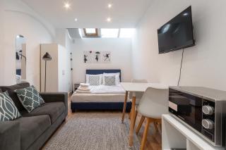 Spacious Studio Apartment in Shoreditch - London - 3
