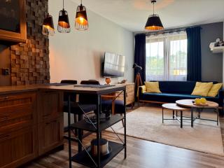 Apartament Zielona Przystań Wrocław - Wrocław - 9