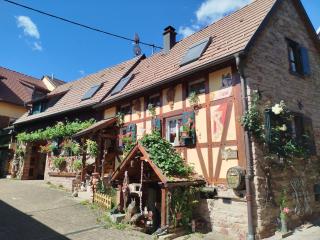 Gite Le Petit Moulin - Rosenwiller - 9
