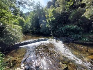Au petit hameau Cabrespine - 1