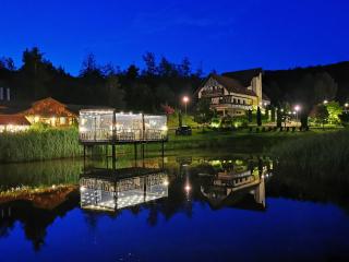 Domeniul Toma - Valea Dobîrlăului - 3