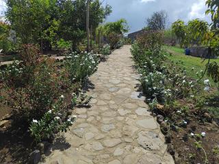 Villa HARMONY - Andilana - 9