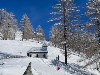 Haus Melody - Schladming - 3