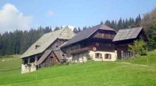 Bauernhaus Prosi Murtal Steiermark - Mariahof - 0