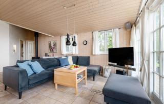 Nice Home In Hemmet With Sauna - Hemmet - 8