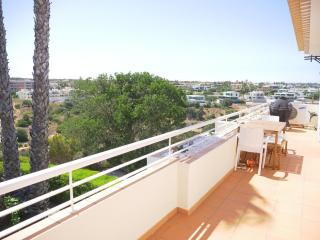 Large three-bedroom apartment - 9