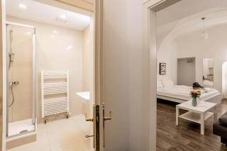 Beautiful Apartment 3 City Center - Vienne - 7