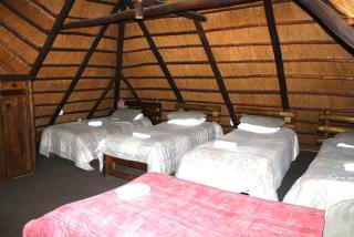 Delion Lodge - Koster - 1