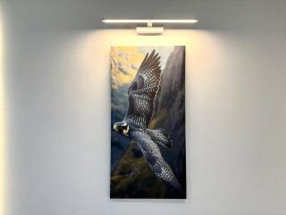 Front Falcon Chalet - Qəbələ - 2