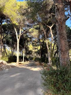 La casa di Ale - San Cataldo - 2