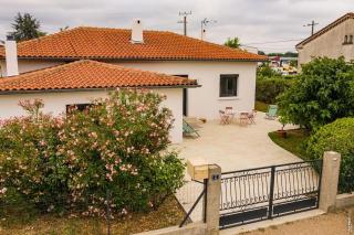 La Villa des Mûriers - Jardin - Lavaur - Lavaur - 3