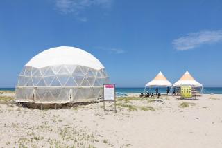 Olive Beach Pension - 3