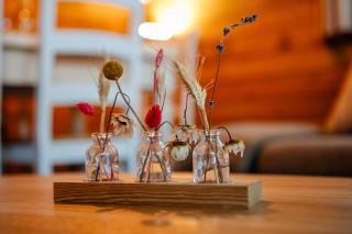 Knus houten huisje met uitzicht Meer Zeeland VP071 - 2