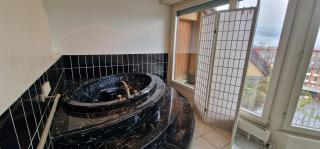 Penthouse with jacuzzi, sauna and rooftop - Zürich - 4