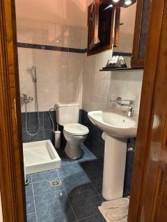 Φιλυρέα Apartments - Room 1 - Zagora - 3