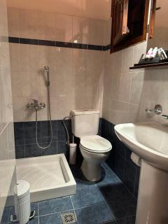 Φιλυρέα Apartments - Room 1 - Zagora - 2