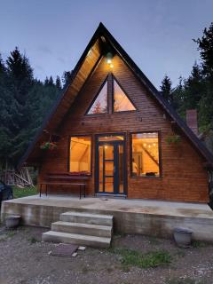 Cabana Doi Brazi A-FRAME - 9