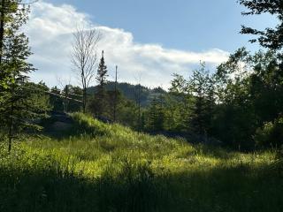 Spa - Chalet Sur Les Sentiers du Pic-Bois - - 7