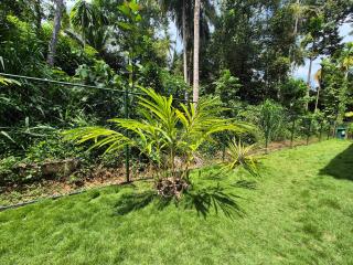 Tropical Green Villa - Kandy - 3